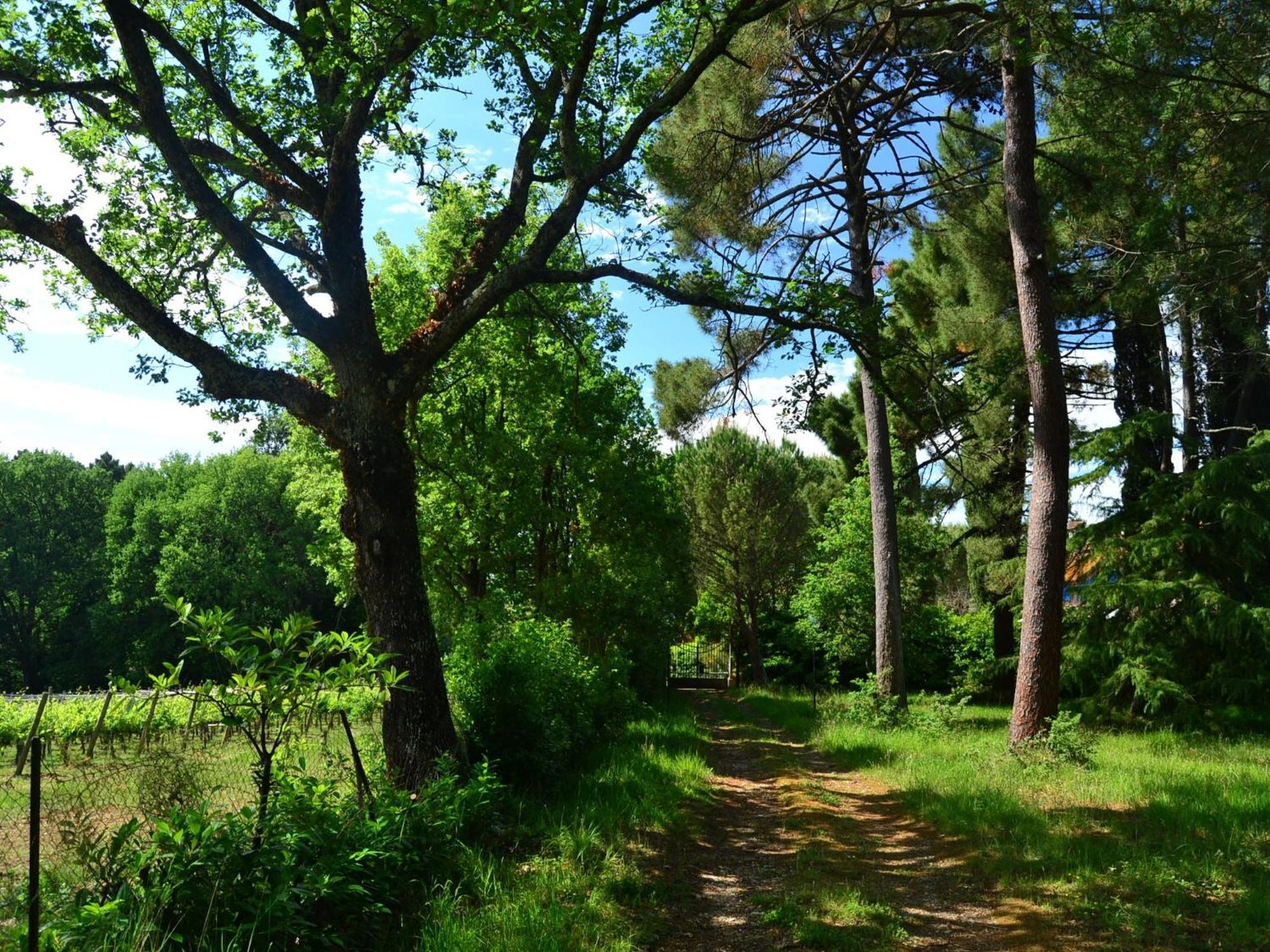 Lovely Holiday Home In Montefiridolfi With Hill View Екстериор снимка