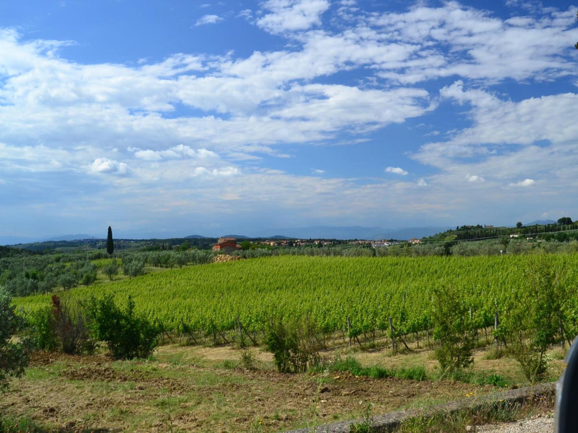 Lovely Holiday Home In Montefiridolfi With Hill View Екстериор снимка