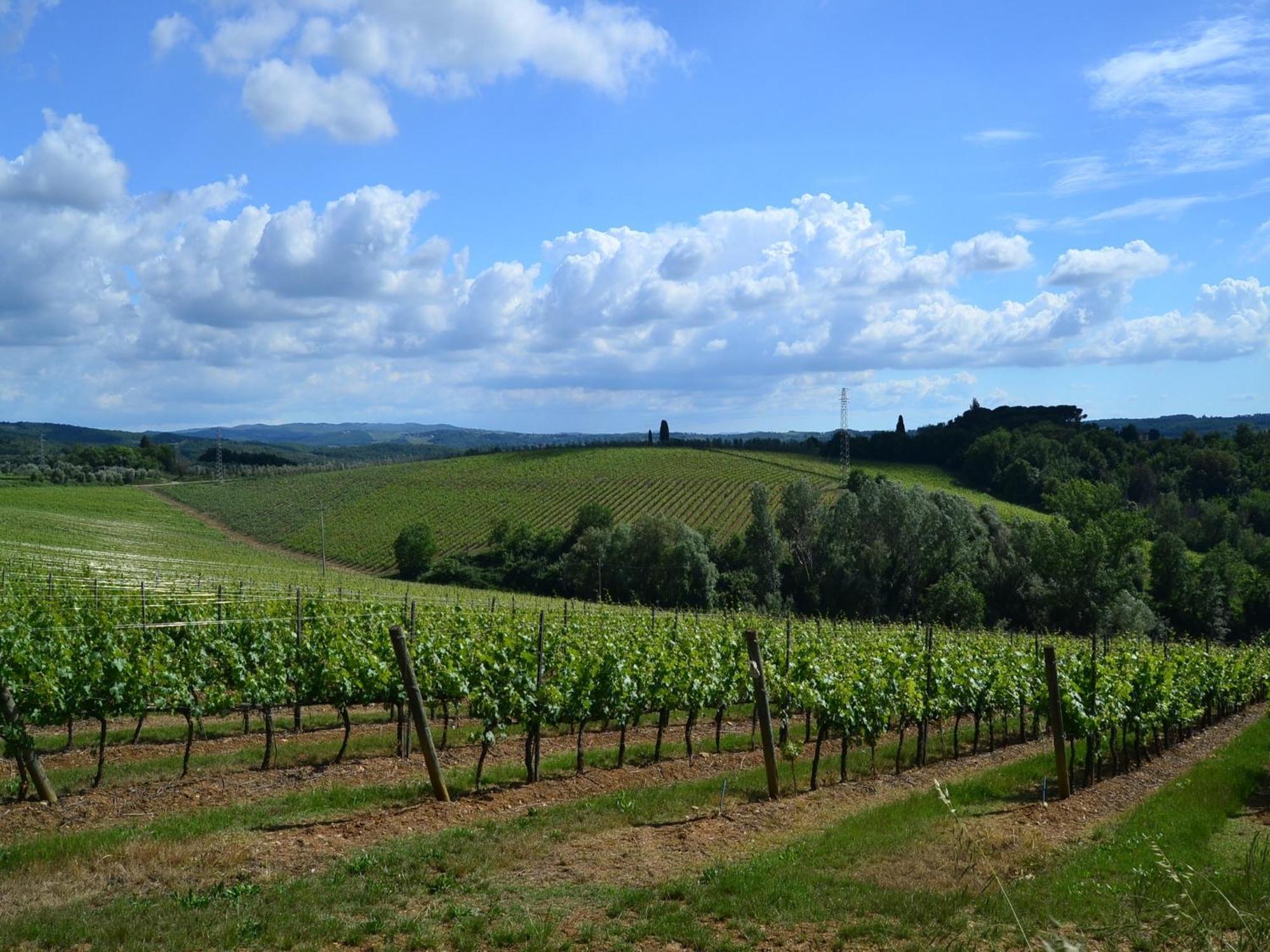 Lovely Holiday Home In Montefiridolfi With Hill View Екстериор снимка